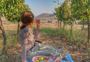 יין של שבת: 10 יקבים שפתוחים גם בשבת